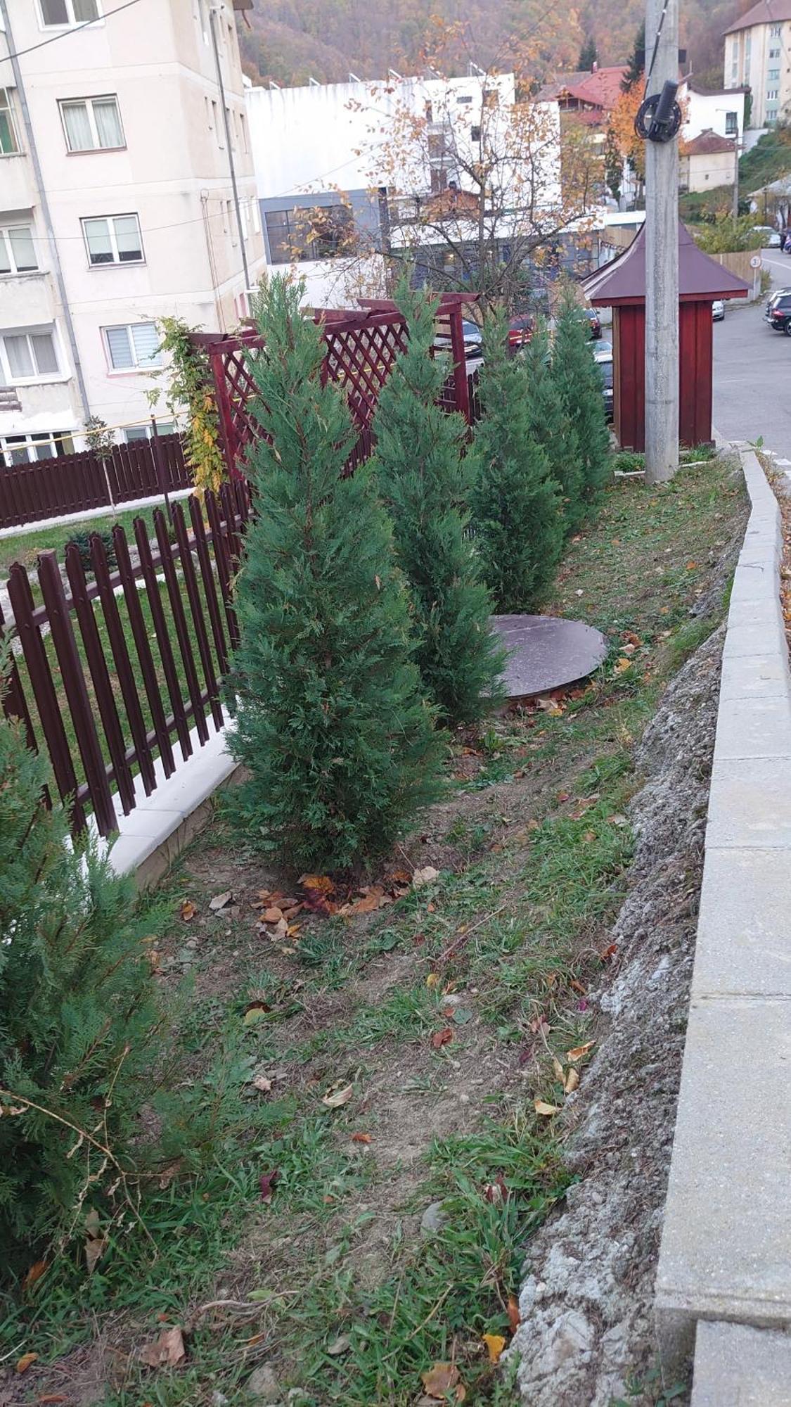 Băile OlăneştiCasa Tihna别墅 外观 照片