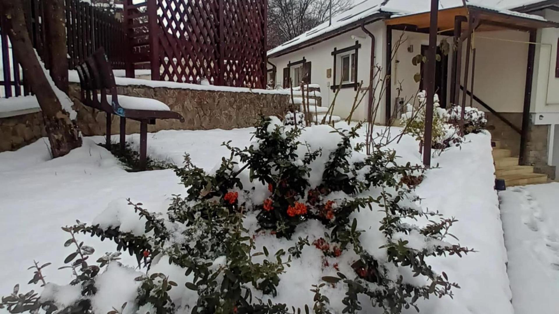 Băile OlăneştiCasa Tihna别墅 外观 照片